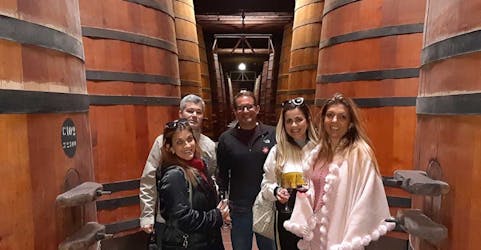 Private full-day Santiago city and wine tour